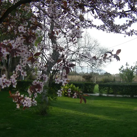 Affittacamere Aenaon