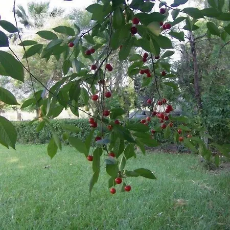 Aenaon Affittacamere